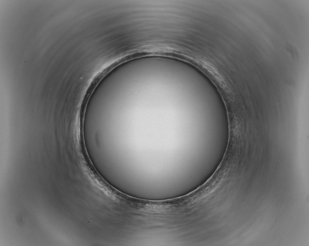 X0000112080840200908181240