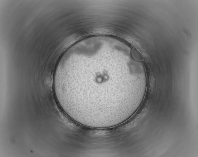 X0000112080841200908181240