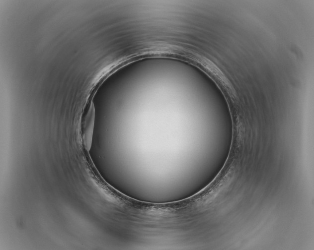 X0000112080842200908181240