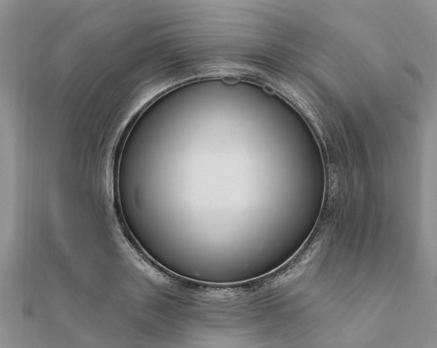 X0000112080843200908181240