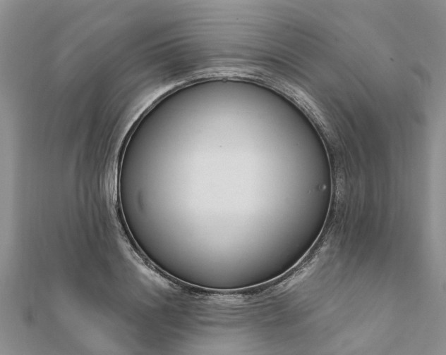 X0000112080844200908181240