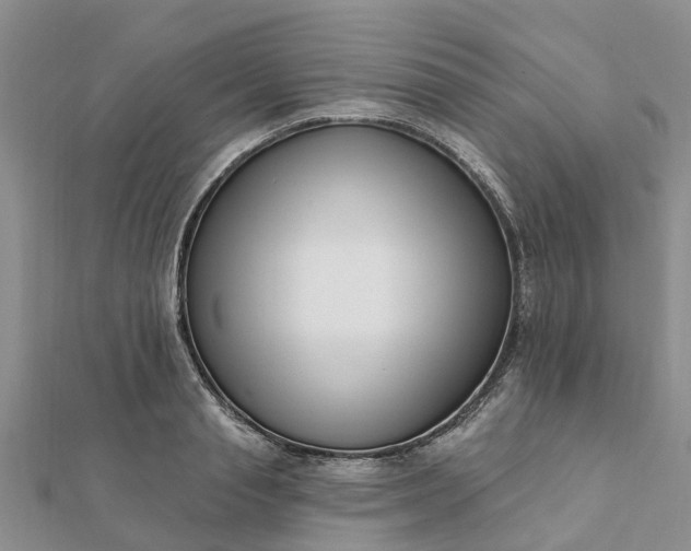 X0000112080845200908181240