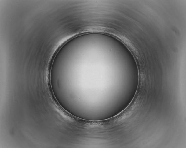 X0000112080846200908181240