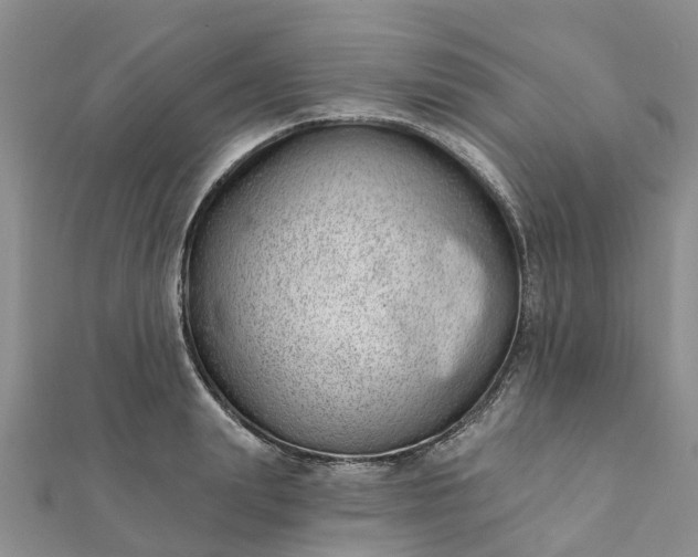 X0000112080847200908181240