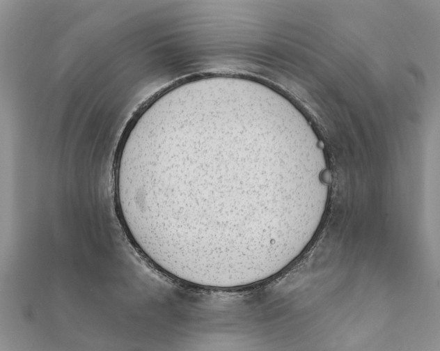 X0000112080848200908181240