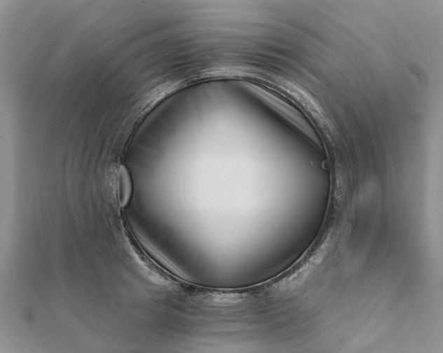 X0000112080849200908181240