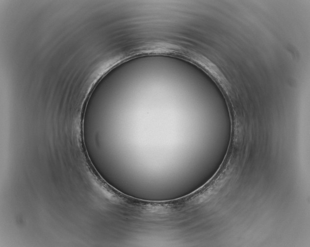 X0000112080850200908181240