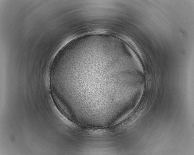 X0000112080851200908181240