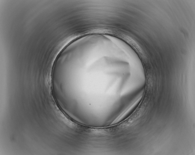 X0000112080852200908181240