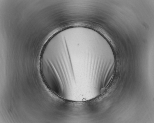 X0000112080853200908181240