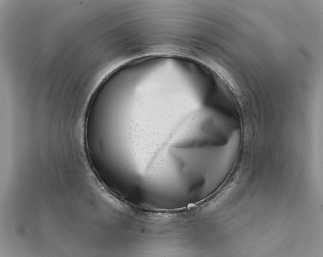 X0000112080854200908181240