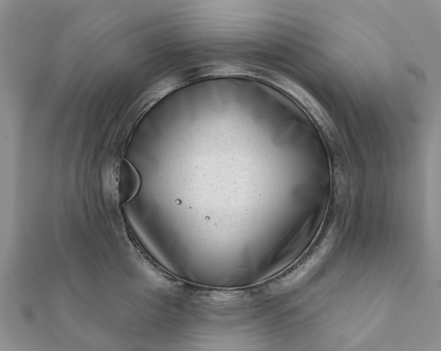 X0000112080857200908181240