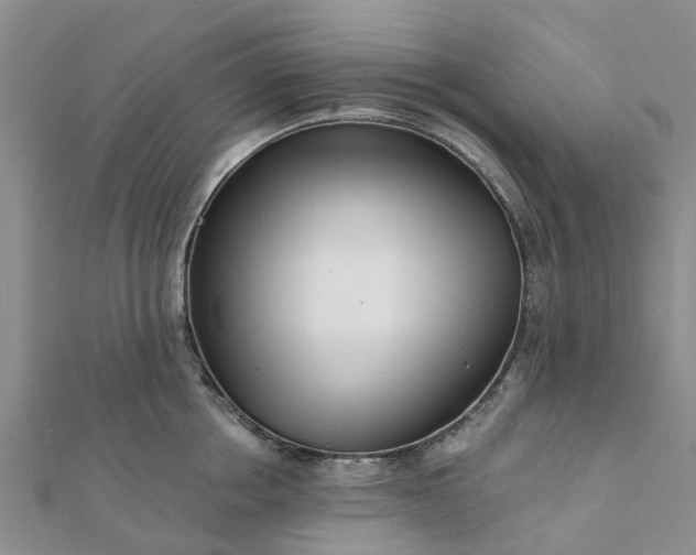 X0000112080858200908181240