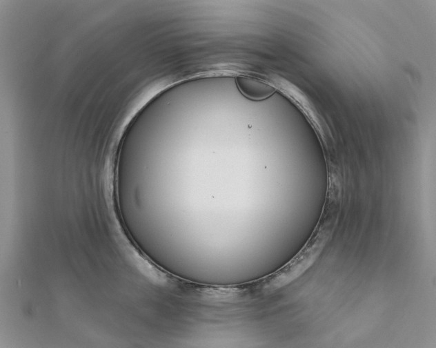 X0000112080859200908181240