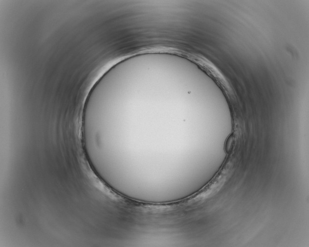 X0000112080860200908181240