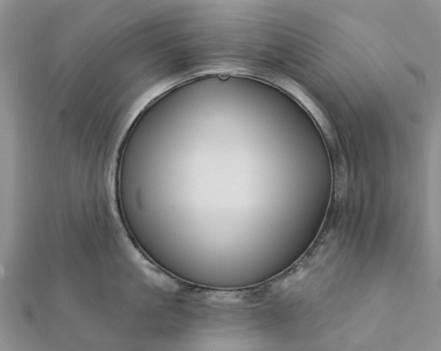 X0000112080861200908181240