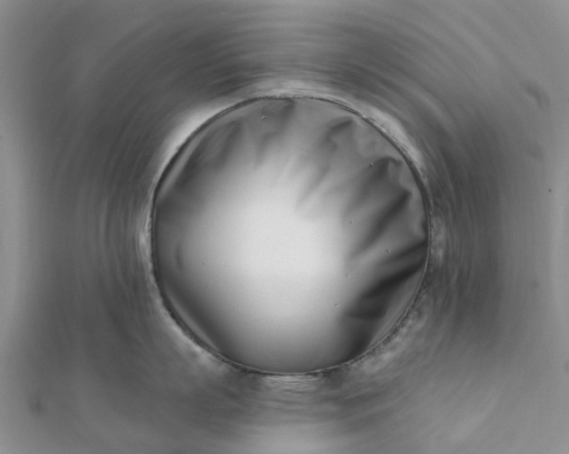 X0000112080863200908181240