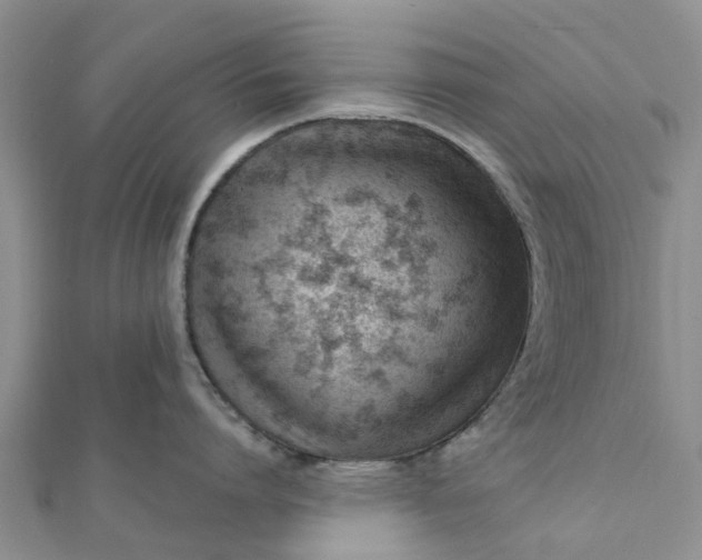 X0000112080864200908181240