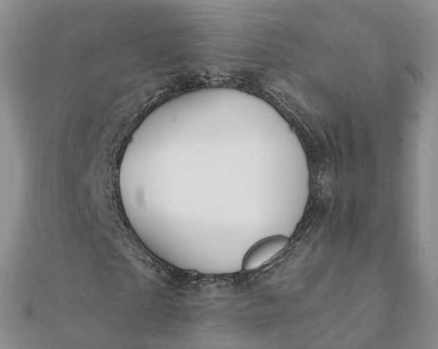 X0000112080865200908181240