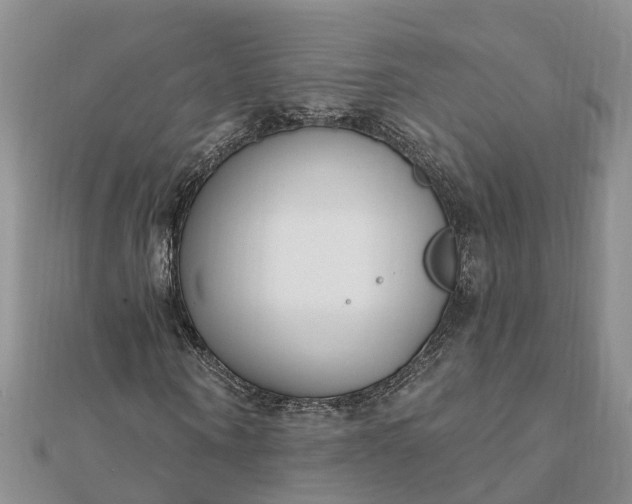 X0000112080866200908181240