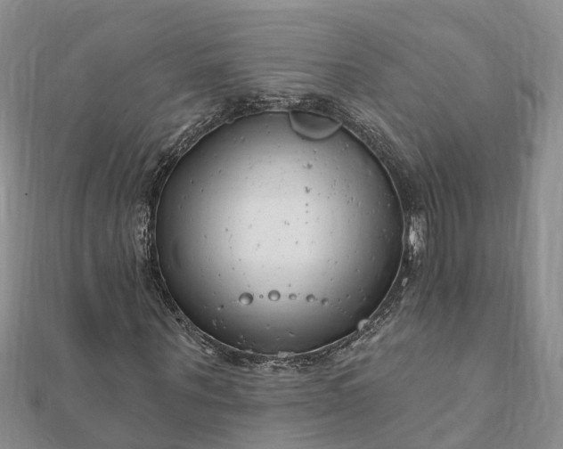 X0000112080867200908181240