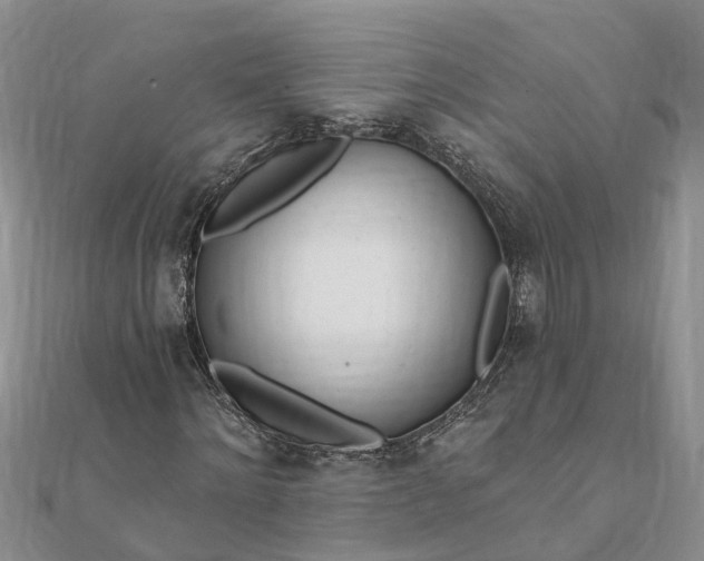 X0000112080868200908181240