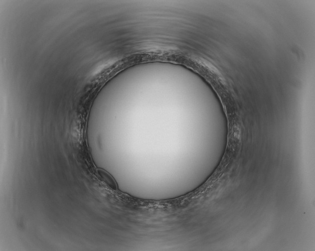 X0000112080869200908181240