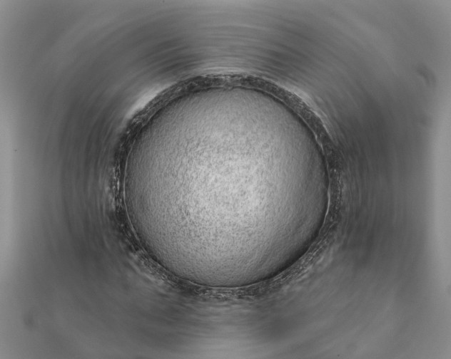 X0000112080871200908181239