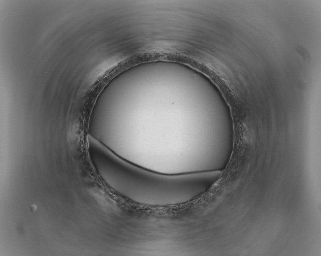 X0000112080872200908181239