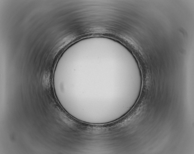 X0000112080873200908181239