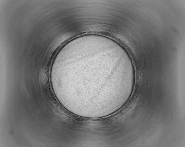 X0000112080874200908181239