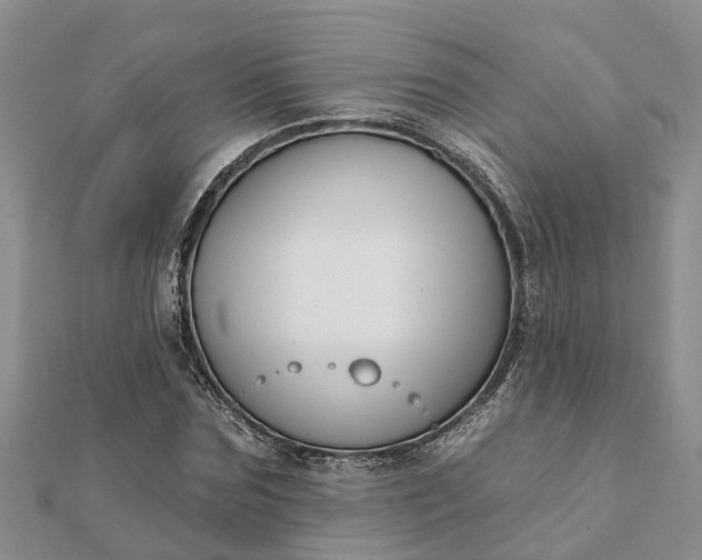 X0000112080875200908181239