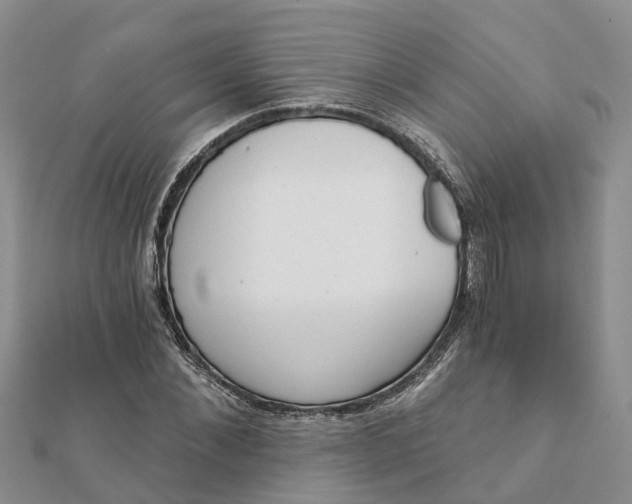 X0000112080876200908181239