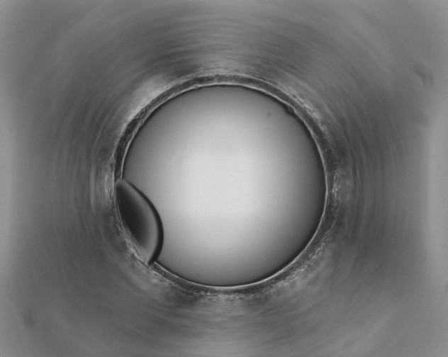 X0000112080877200908181239