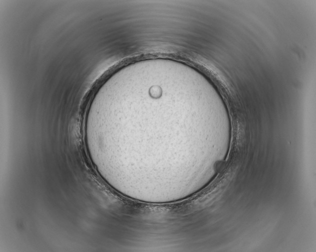 X0000112080878200908181239