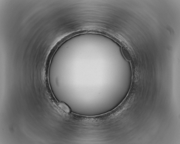 X0000112080880200908181239