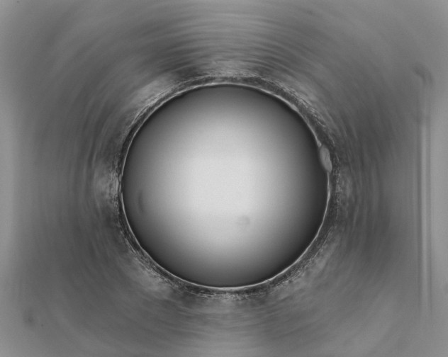 X0000112080881200908181239