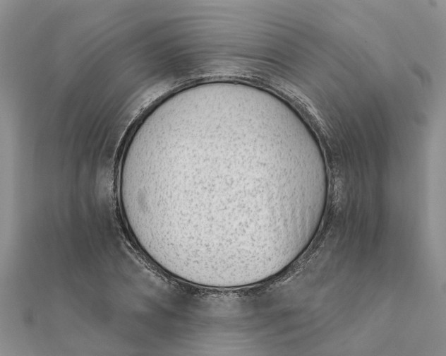 X0000112080882200908181239