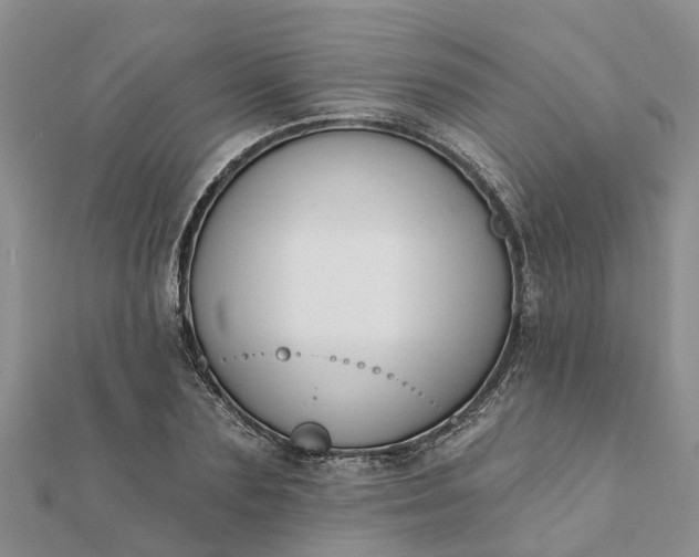 X0000112080883200908181239