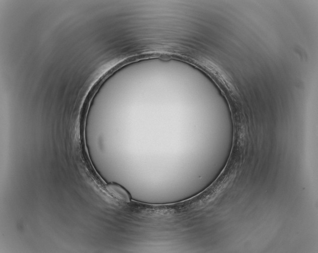 X0000112080884200908181239