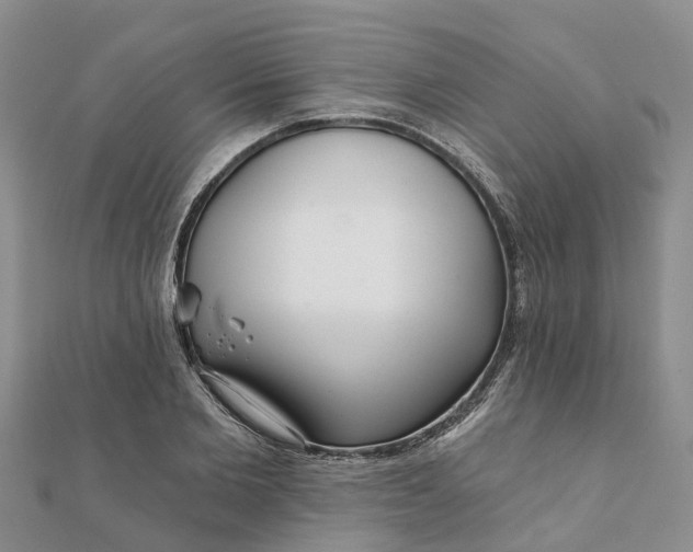 X0000112080885200908181239