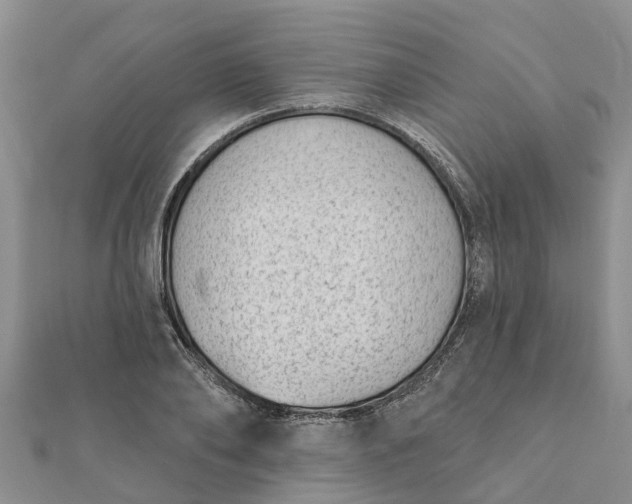 X0000112080886200908181239