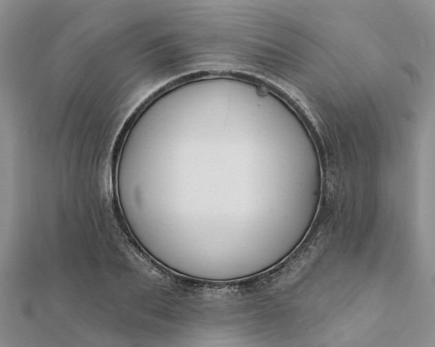 X0000112080887200908181239