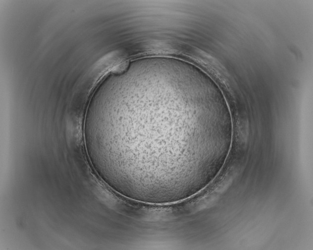 X0000112080889200908181239