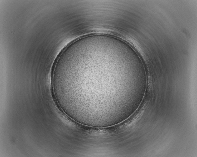 X0000112080891200908181239