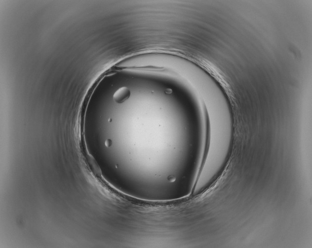 X0000112080892200908181239