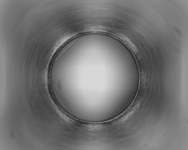 X0000112080893200908181239