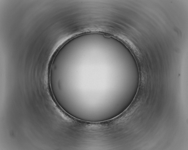 X0000112080894200908181239