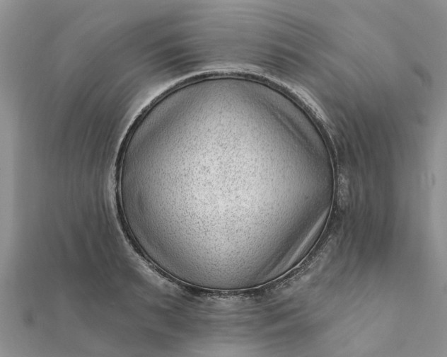 X0000112080895200908181239