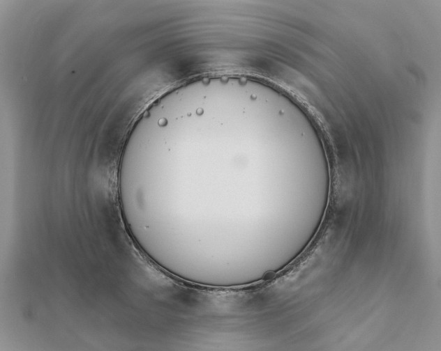 X0000112080897200908181239